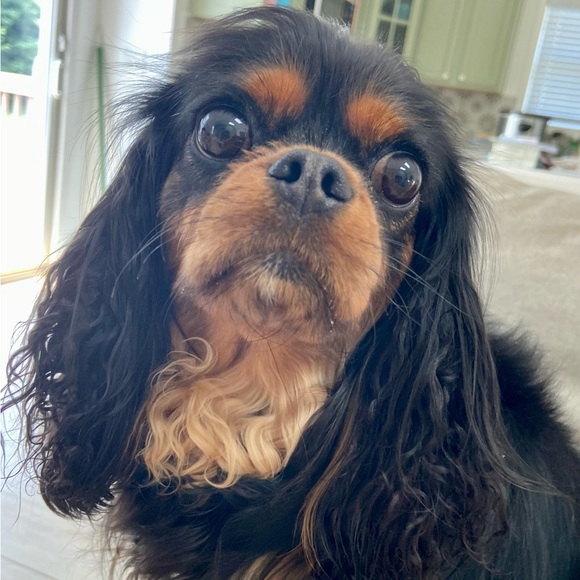 About Me - Picture 16 of 16